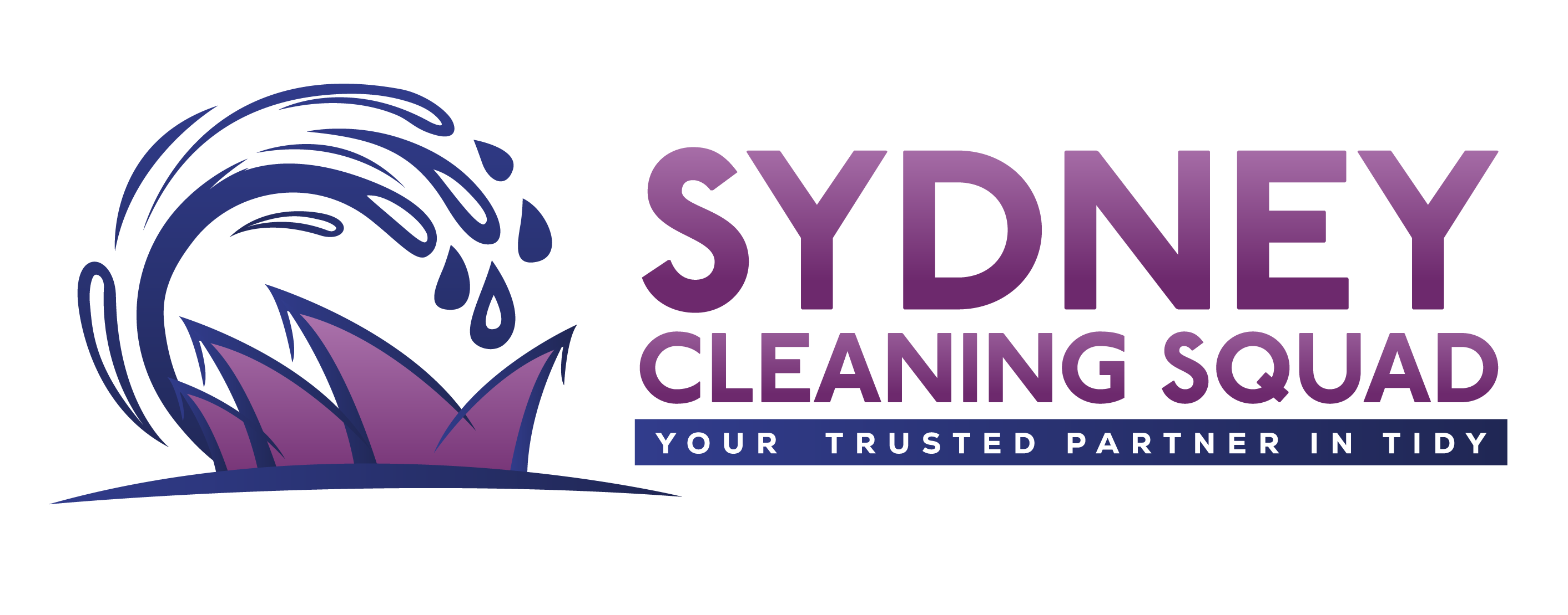 Sydney cleaning squad 